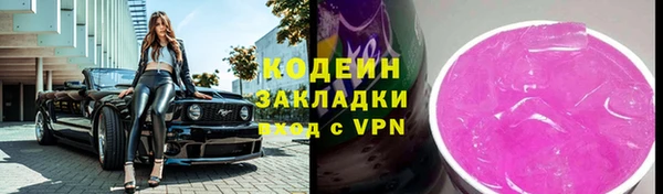 скорость Вяземский