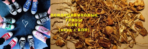 скорость Вяземский