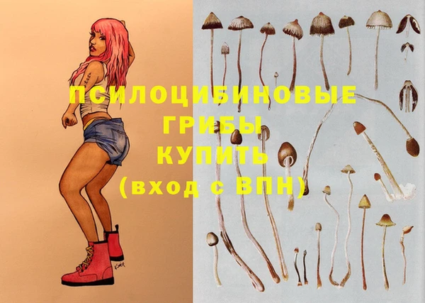 скорость Вяземский