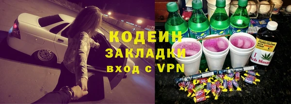 скорость Вяземский