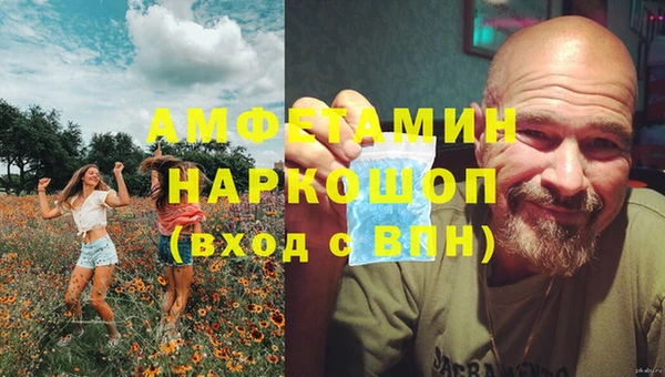 скорость Вяземский